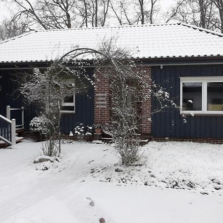 Ferienwohnung Am Freitagsbach Τσέλε Εξωτερικό φωτογραφία